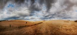 bales of hay Picture